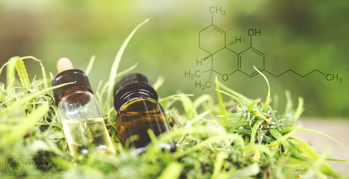 Exploring the Flavor of CBD Oil: Why Does It Taste the Way It Does and How It Affects Consumption?